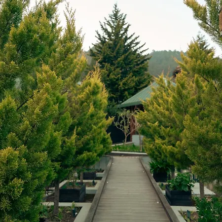 Brij Atmanya, Bhowali - A Luxury Mountain Escape-3