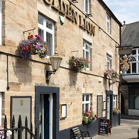 Golden Lion-2