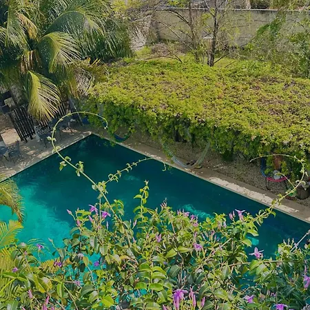 Hotel Jaiba Mahahual - Adults Only-2