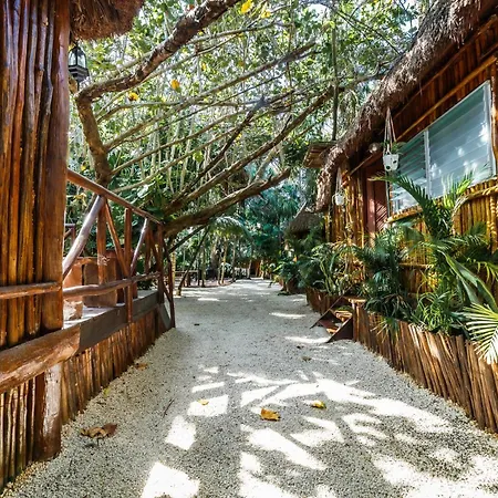 Eco Banitas Tulum-3