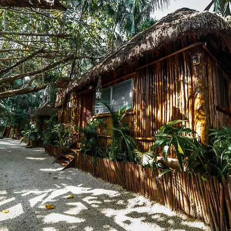 Eco Banitas Tulum-2