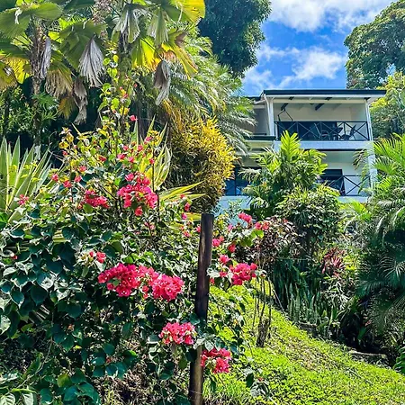 Villa Roca Boutique Resort & Suites - Adult Only-2