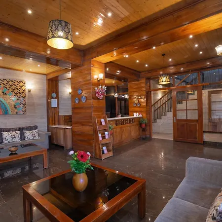 Summit Alpine Abode Hotel 5 Mins From Mg Marg-3