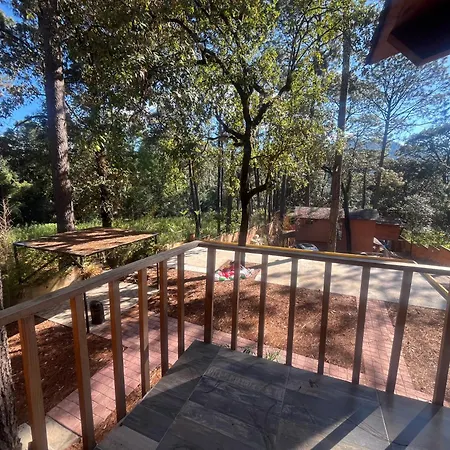 Bosque De Avandaro-2