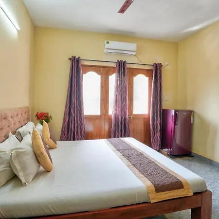 Golden Studio Apartment Goa-2