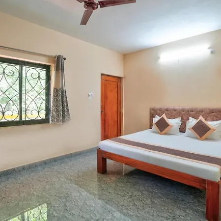 Golden Studio Apartment Goa-3
