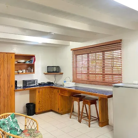 Bananaquit Tobago -Stay Near The Beach-3