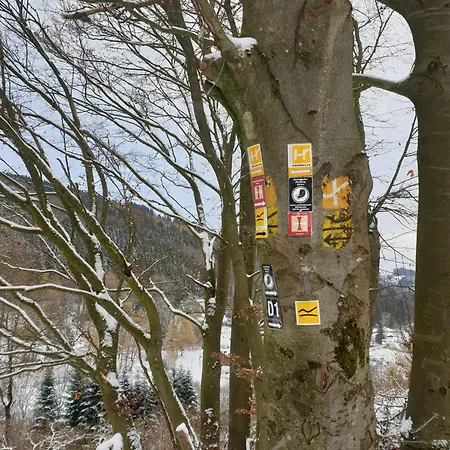 B&B on route L854 - Pension zum Riepen-2