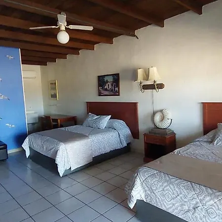 Hotel Villa Vittas Resort-2