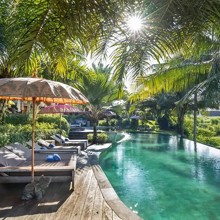 Blue Karma Dijiwa Ubud-2