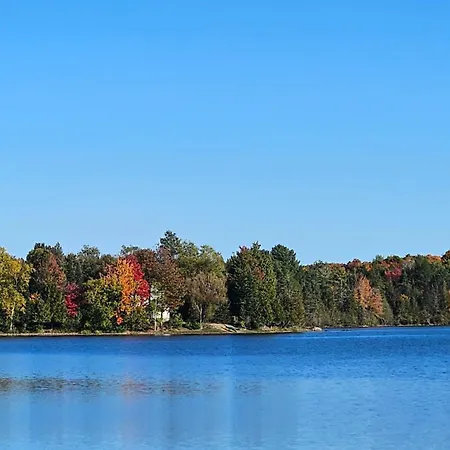 Lakeshore Motel Ice Lake-3