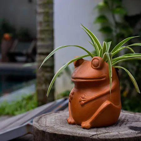 Hoi An Fairy Garden Villa-2
