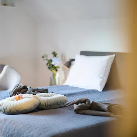 Villa Cecha B&B &Wellness-2