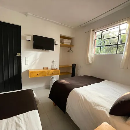 Hostal Roma Condesa-2