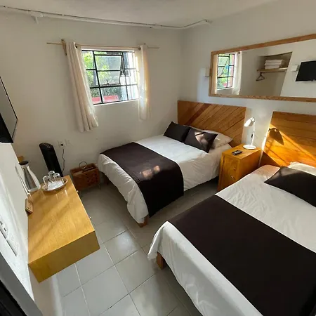 Hostal Roma Condesa-3