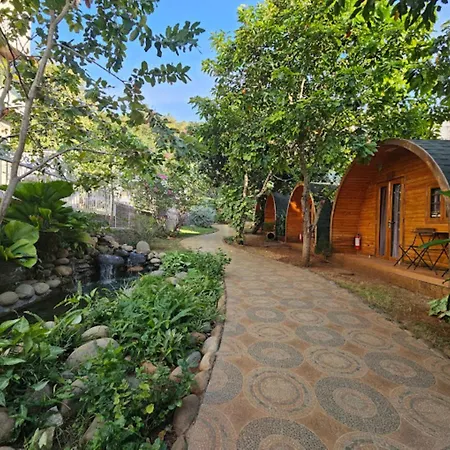 Sea Mountain Bungalow Vũng Tàu-3