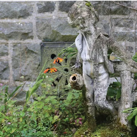 Afon Rhaiadr Country House-2