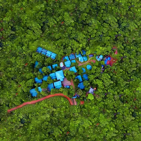 Lakkidi Village Resort Wayanad-2