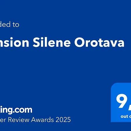 Pension Silene Orotava-3