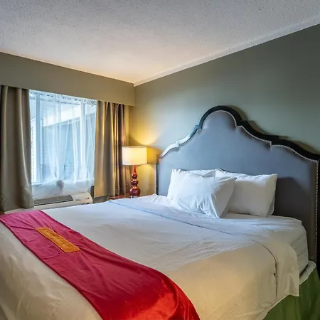 Ace Motel-3