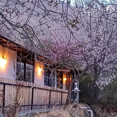Grapes Garden Resort Hunza-2