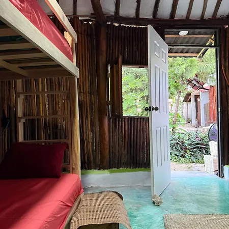 Tree House Tulum-3