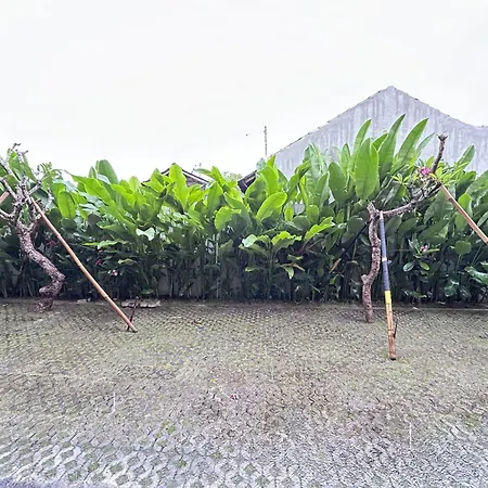 Sekar Tunjung Guest House Seminyak Bali-2