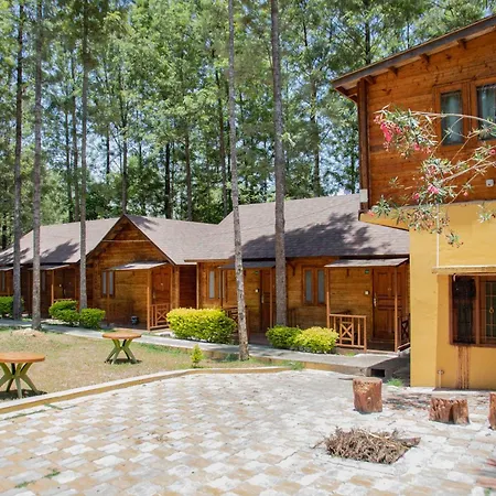 Garden Wood Yercaud-2