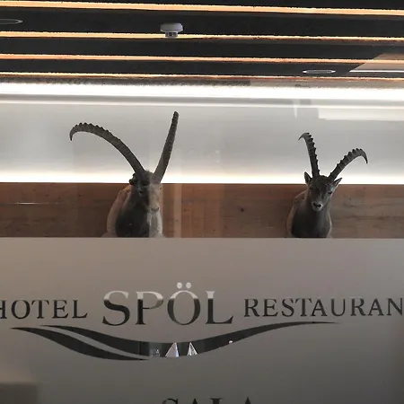 Hotel Spoel Restaurant-2