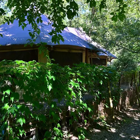 Prehistoric Lodge - Adult Only-3