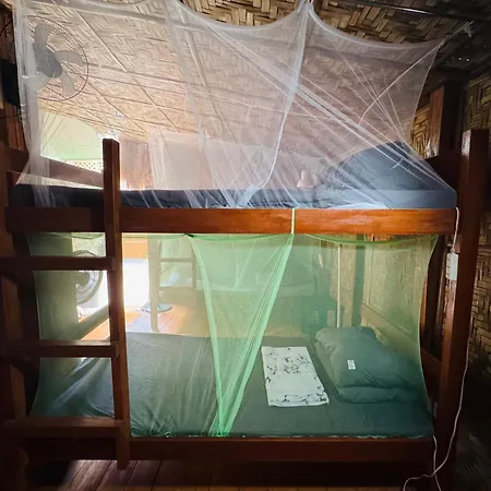 Nautilus Hostel & Hammocks-2