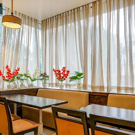 Hotel Krone A Family Hotel Near Igi Airport Delhi-3