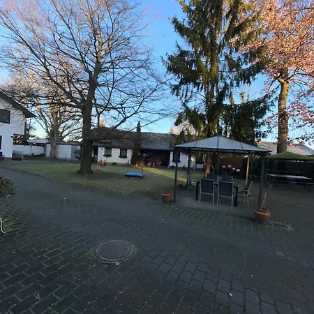 Hotel Hubertus Gernsheim Rhein-2