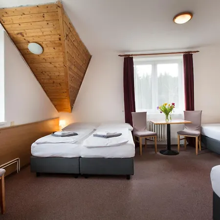Hotel Harrachov Inn-3