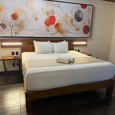 Hotel Kavia 5Th Avenida (Adults Only)-3