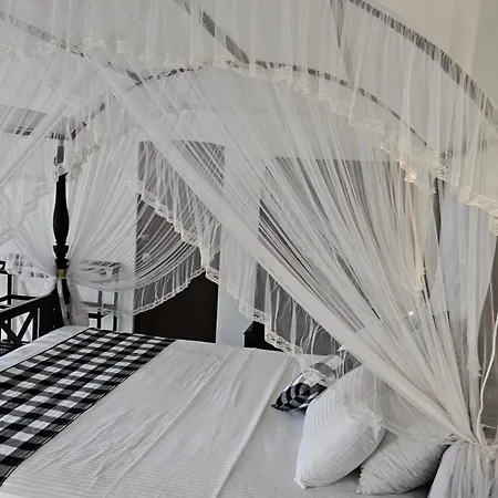 Ridee Villa-3