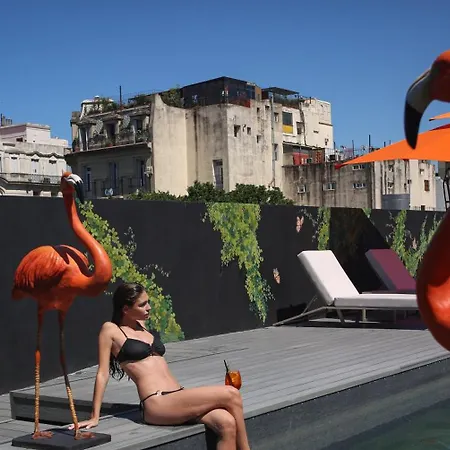 Anselmo Buenos Aires, Curio Collection By Hilton-3