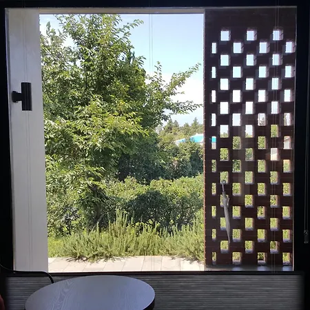 Jejutokki-2