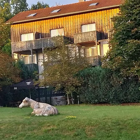 Privat-Zimmer in Hotel am Pfahl-3