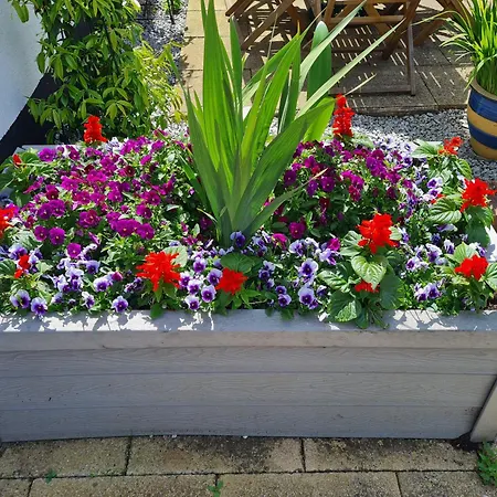 Brookside Guest House & Mini Spa-3
