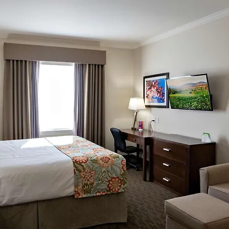 Coast Oliver Hotel-2