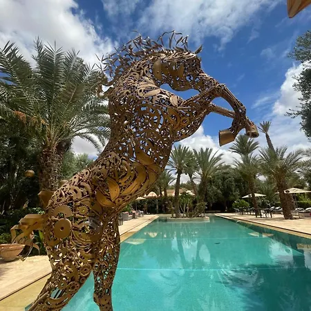 Riad Le Jasmin-3