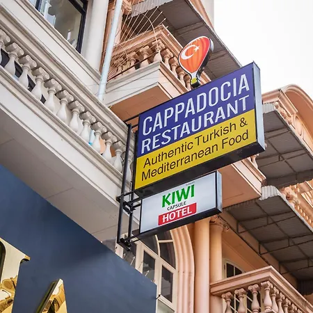 Kiwi Capsule Hotel-3
