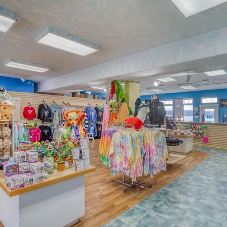 Surfer Dude - Anchor Pier Lodge-2
