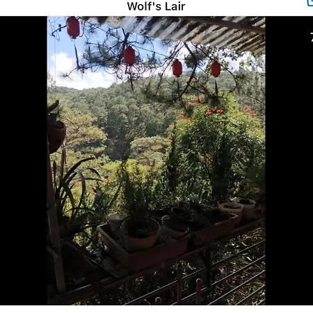 Wolf'S Lair-2