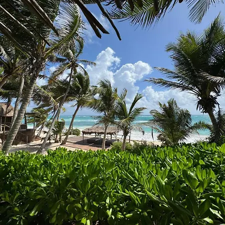 Art Village Tulum-3