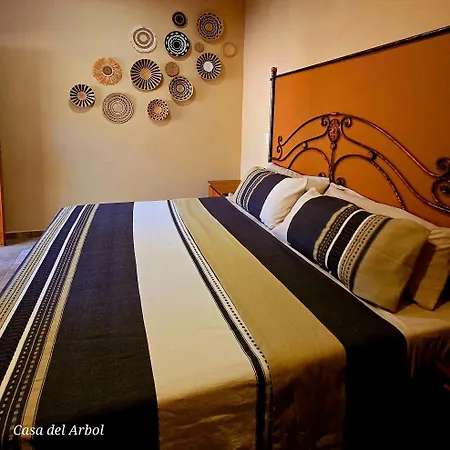 Casa del Arbol-3