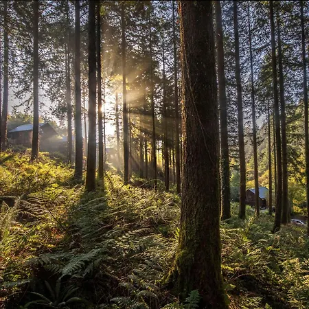 Glentress Forest Cabins - Forest Holidays-3
