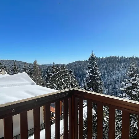Mountain Lodge Apartments-2