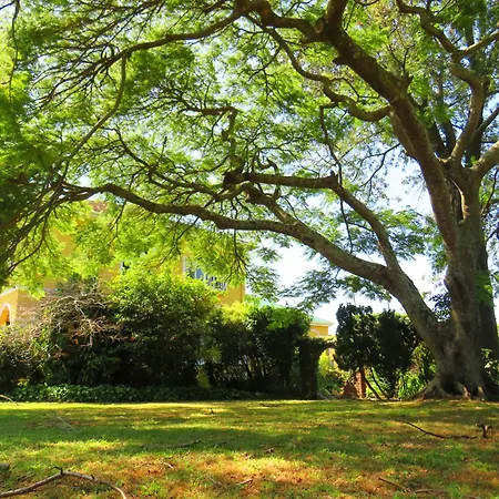 Thule Guesthouse Selborne-2